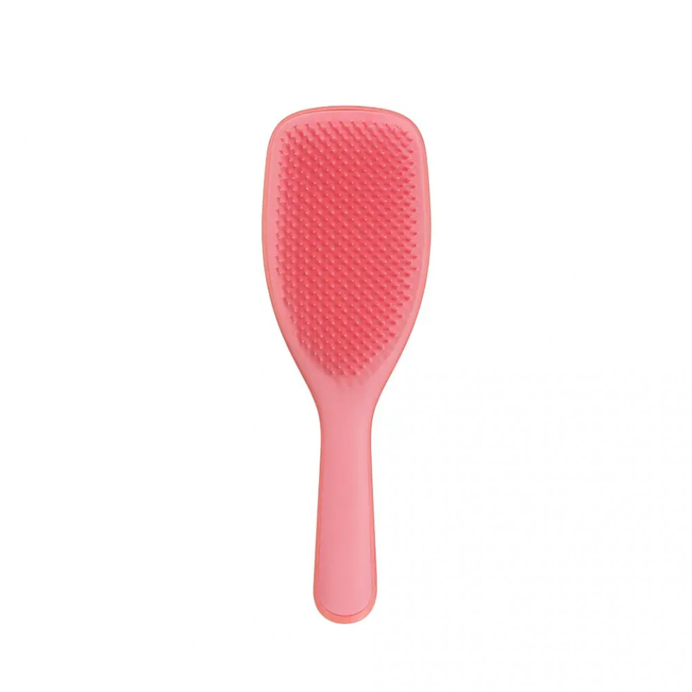 Tangle Teezer - Щітка для волосся (Фото-1)
